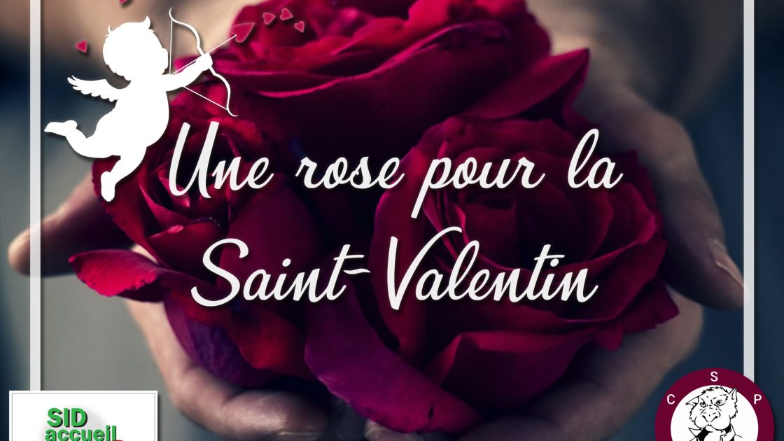 Une Rose pour la Saint-Valentin