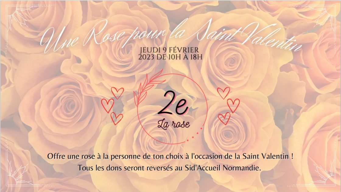 une rose pour la saint valentin